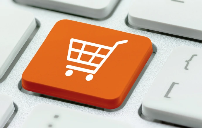 E-commerce integration for Odoo, showing a dedicated online checkout key.